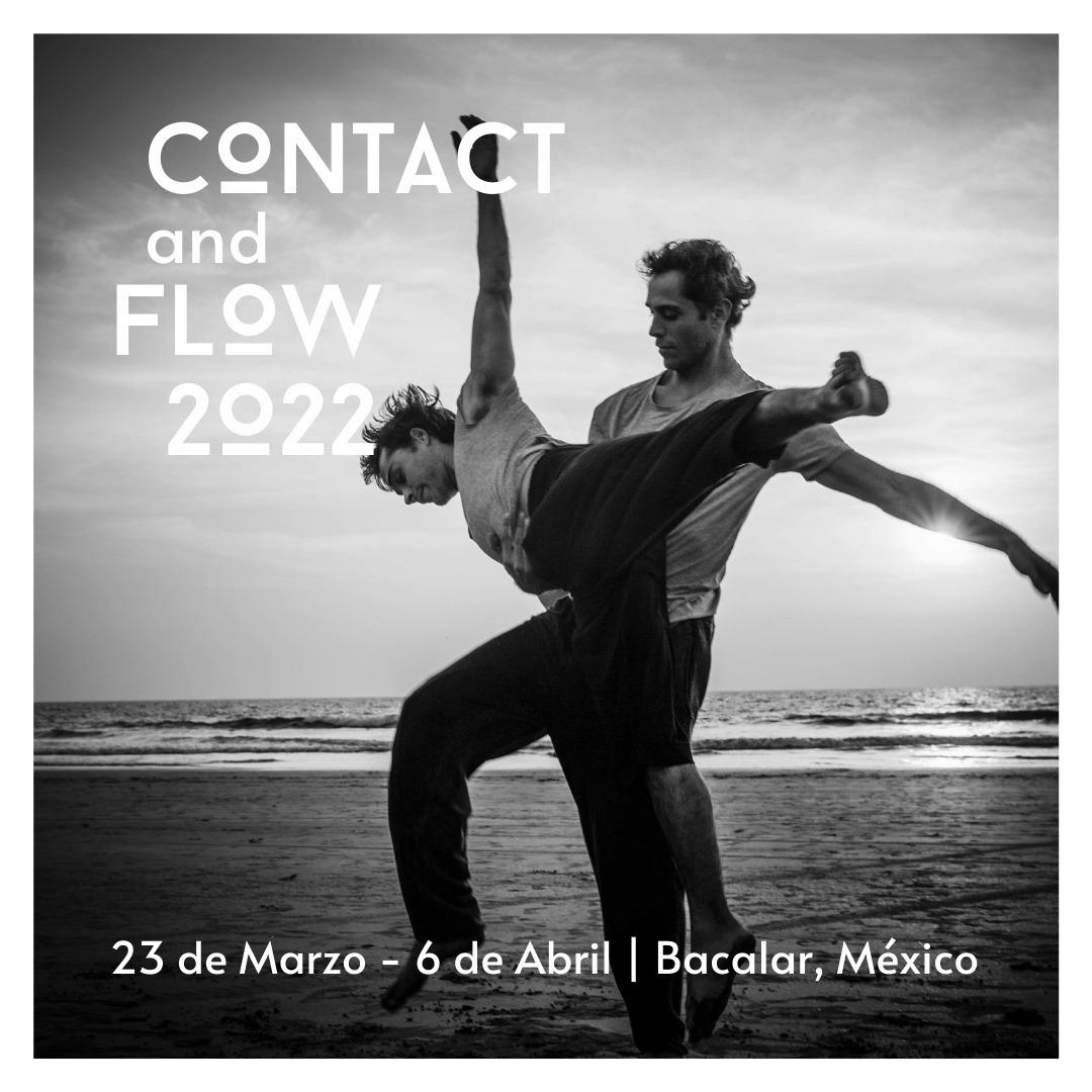 Contact and flow 2022