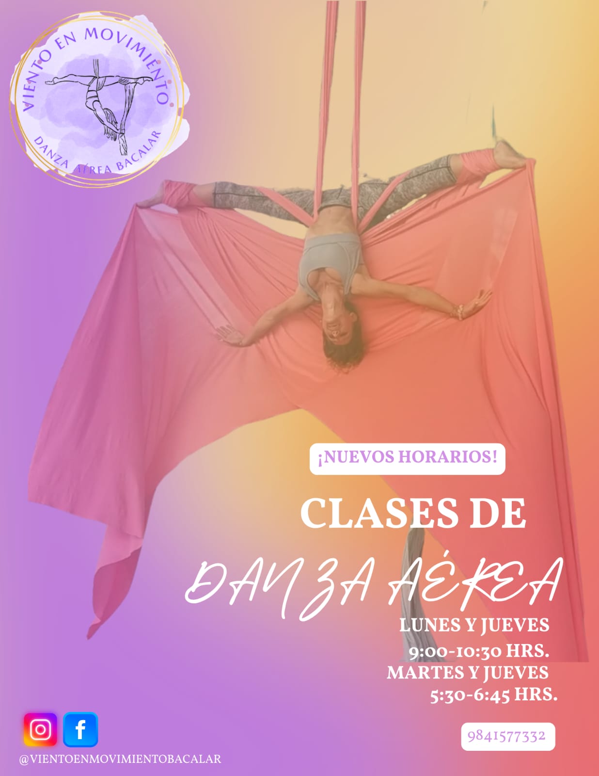 Danza aérea