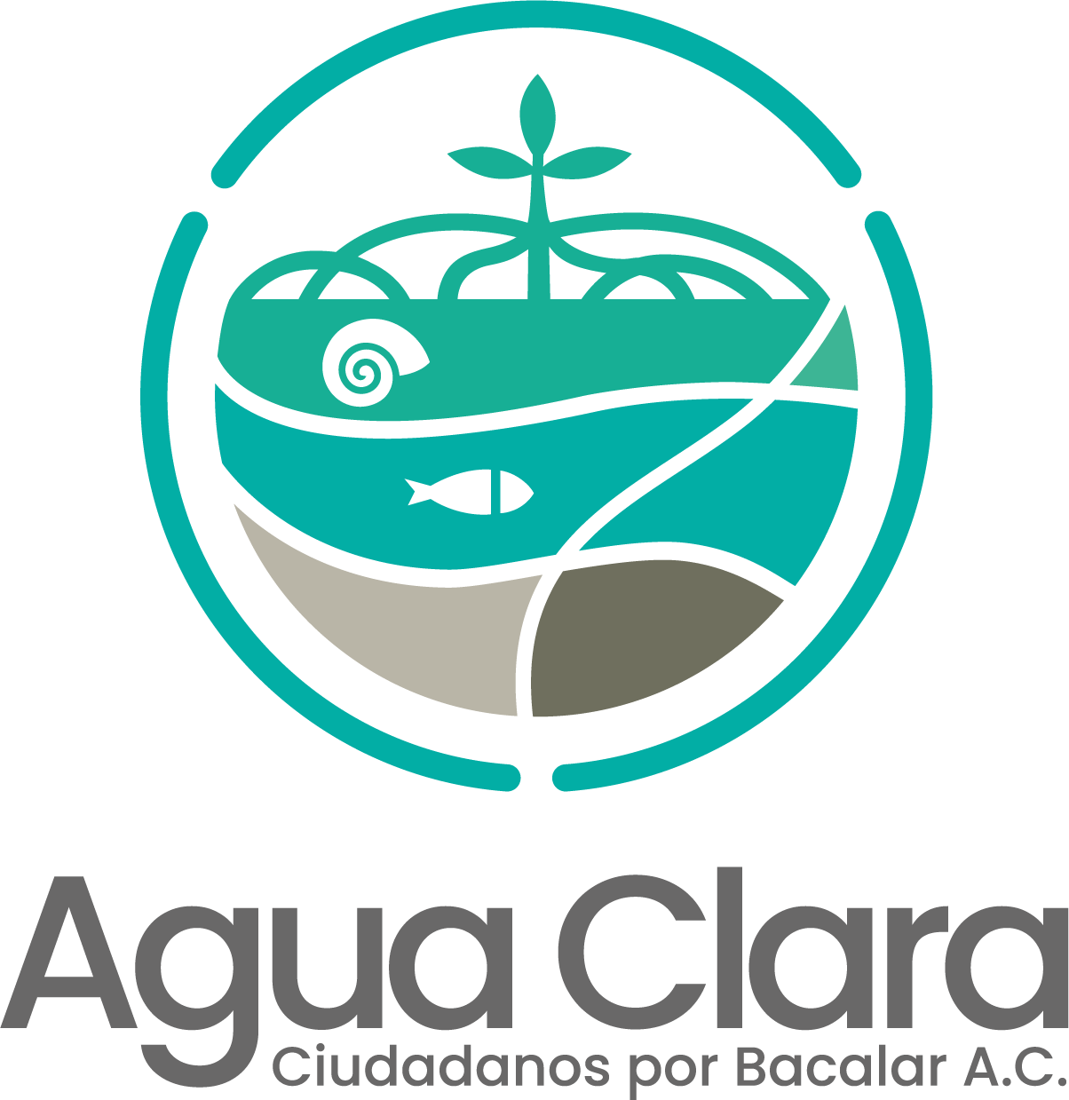 Agua Clara Ciudadanos por Bacalar A.C.